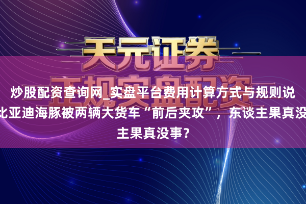 炒股配资查询网_实盘平台费用计算方式与规则说明 比亚迪海豚被两辆大货车“前后夹攻”，东谈主果真没事？