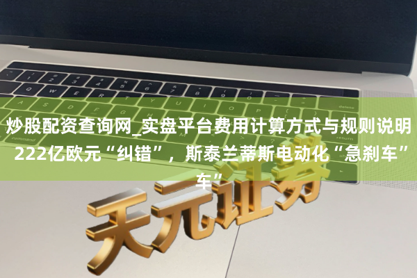 炒股配资查询网_实盘平台费用计算方式与规则说明 222亿欧元“纠错”，斯泰兰蒂斯电动化“急刹车”