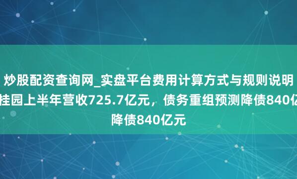 炒股配资查询网_实盘平台费用计算方式与规则说明 碧桂园上半年营收725.7亿元，债务重组预测降债840亿元