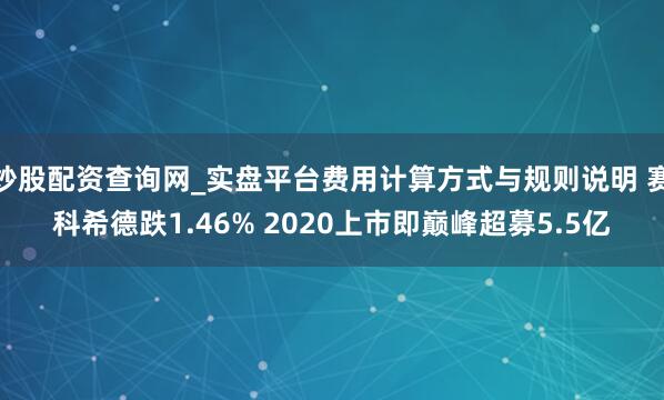 炒股配资查询网_实盘平台费用计算方式与规则说明 赛科希德跌1.46% 2020上市即巅峰超募5.5亿