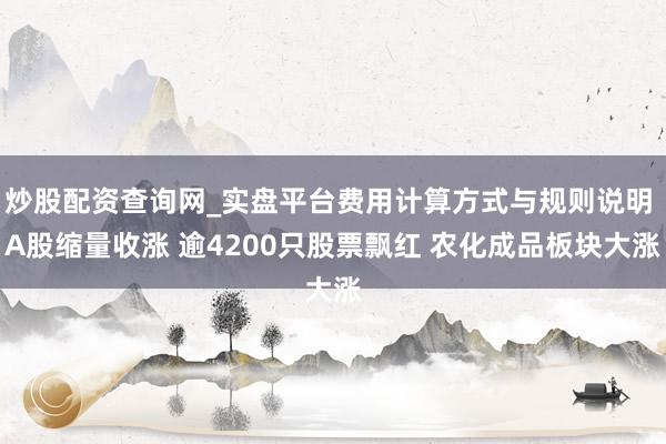 炒股配资查询网_实盘平台费用计算方式与规则说明 A股缩量收涨 逾4200只股票飘红 农化成品板块大涨