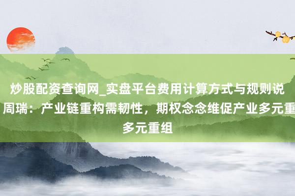 炒股配资查询网_实盘平台费用计算方式与规则说明 周瑞：产业链重构需韧性，期权念念维促产业多元重组