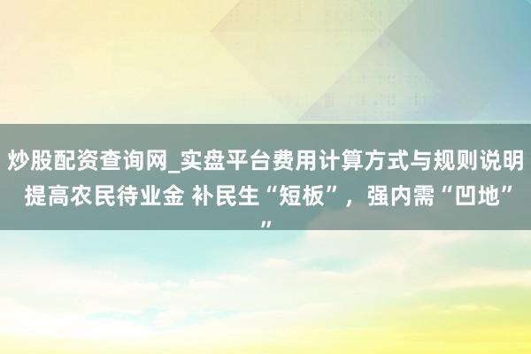 炒股配资查询网_实盘平台费用计算方式与规则说明 提高农民待业金 补民生“短板”，强内需“凹地”