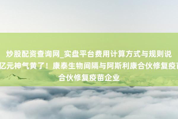 炒股配资查询网_实盘平台费用计算方式与规则说明 28亿元神气黄了！康泰生物间隔与阿斯利康合伙修复疫苗企业