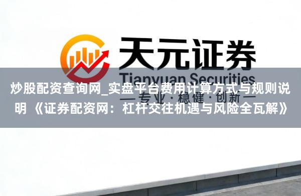 炒股配资查询网_实盘平台费用计算方式与规则说明 《证券配资网：杠杆交往机遇与风险全瓦解》