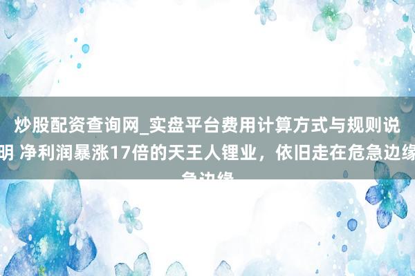 炒股配资查询网_实盘平台费用计算方式与规则说明 净利润暴涨17倍的天王人锂业，依旧走在危急边缘