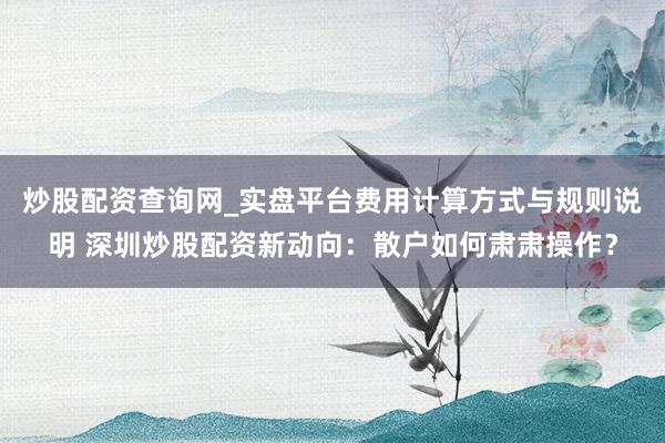 炒股配资查询网_实盘平台费用计算方式与规则说明 深圳炒股配资新动向：散户如何肃肃操作？