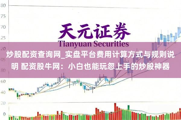炒股配资查询网_实盘平台费用计算方式与规则说明 配资股牛网：小白也能玩忽上手的炒股神器
