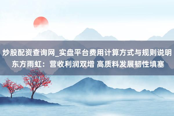 炒股配资查询网_实盘平台费用计算方式与规则说明 东方雨虹：营收利润双增 高质料发展韧性填塞