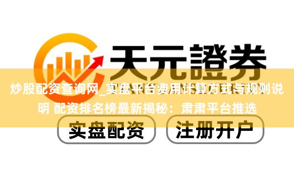 炒股配资查询网_实盘平台费用计算方式与规则说明 配资排名榜最新揭秘：肃肃平台推选