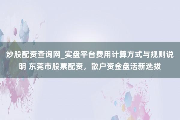 炒股配资查询网_实盘平台费用计算方式与规则说明 东莞市股票配资，散户资金盘活新选拔