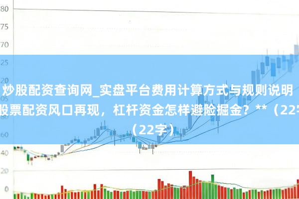 炒股配资查询网_实盘平台费用计算方式与规则说明 **股票配资风口再现，杠杆资金怎样避险掘金？**（22字）