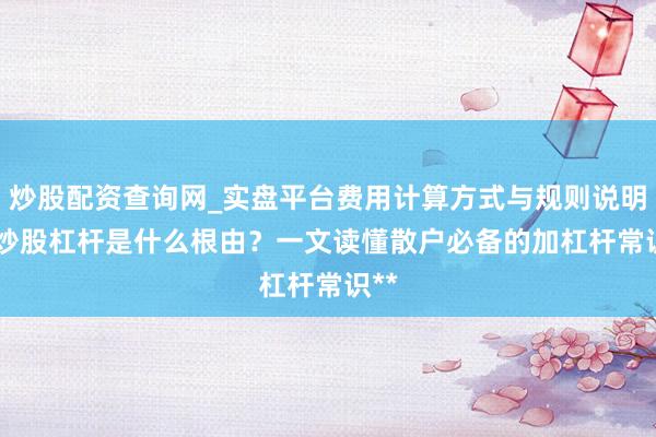 炒股配资查询网_实盘平台费用计算方式与规则说明 **炒股杠杆是什么根由？一文读懂散户必备的加杠杆常识**